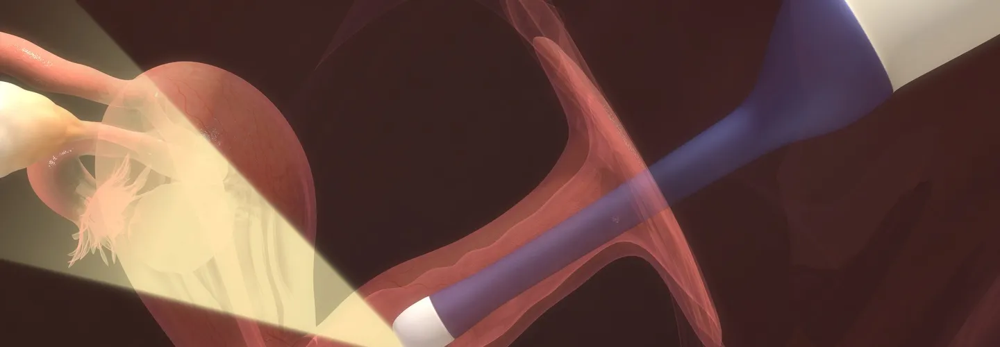 Understanding Uterine Fibroids. A Comprehensive Guide by Dr. Senai Aksoy