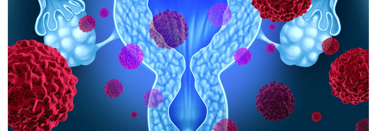 Candidates for Hysteroscopy. A Comprehensive Overview