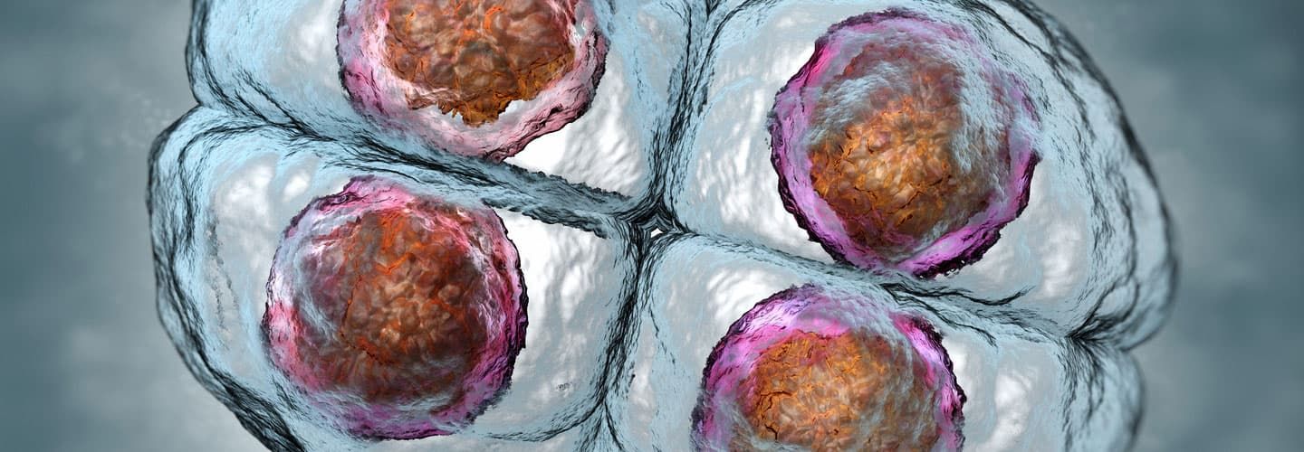 Comprendre le Diagnostic Préimplantatoire et le Diagnostic Préimplantatoire-A