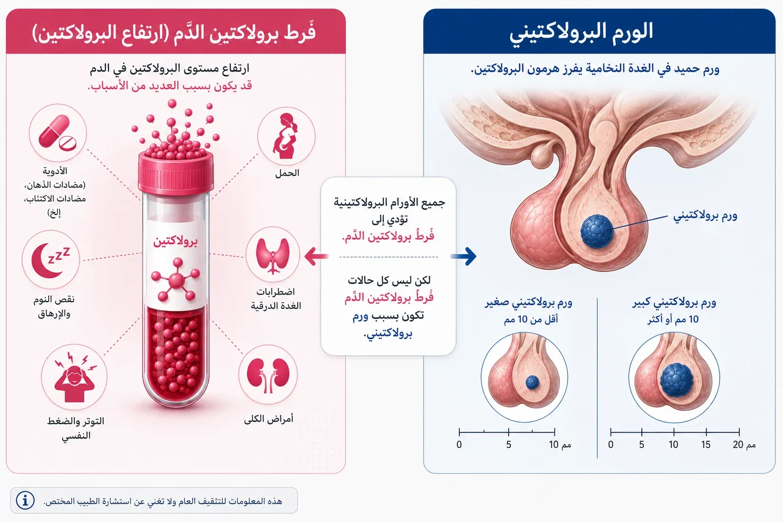 فرط برولاكتين الدم مقابل الورم البرولاكتيني: مقارنة بصرية للأسباب والتشريح