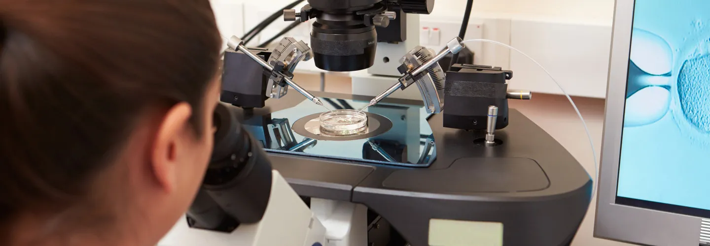 Understanding the Three Main Types of IVF