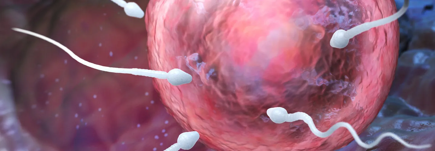 Sublimer Votre Parcours FIV, Le Guide Chic vers le Succès