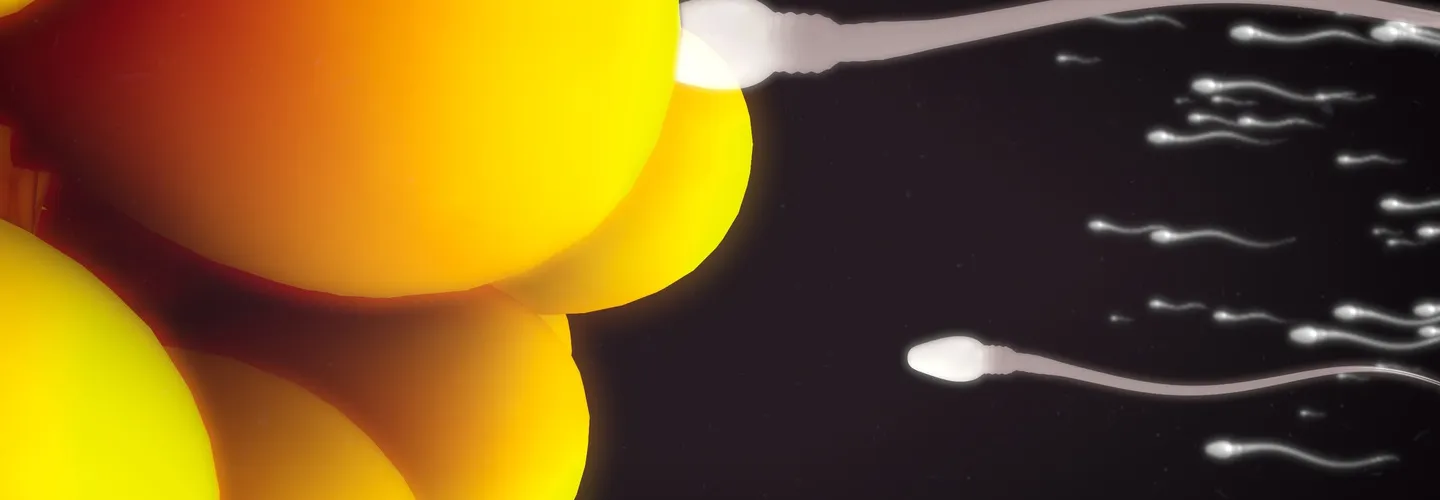 Improving sperm quality